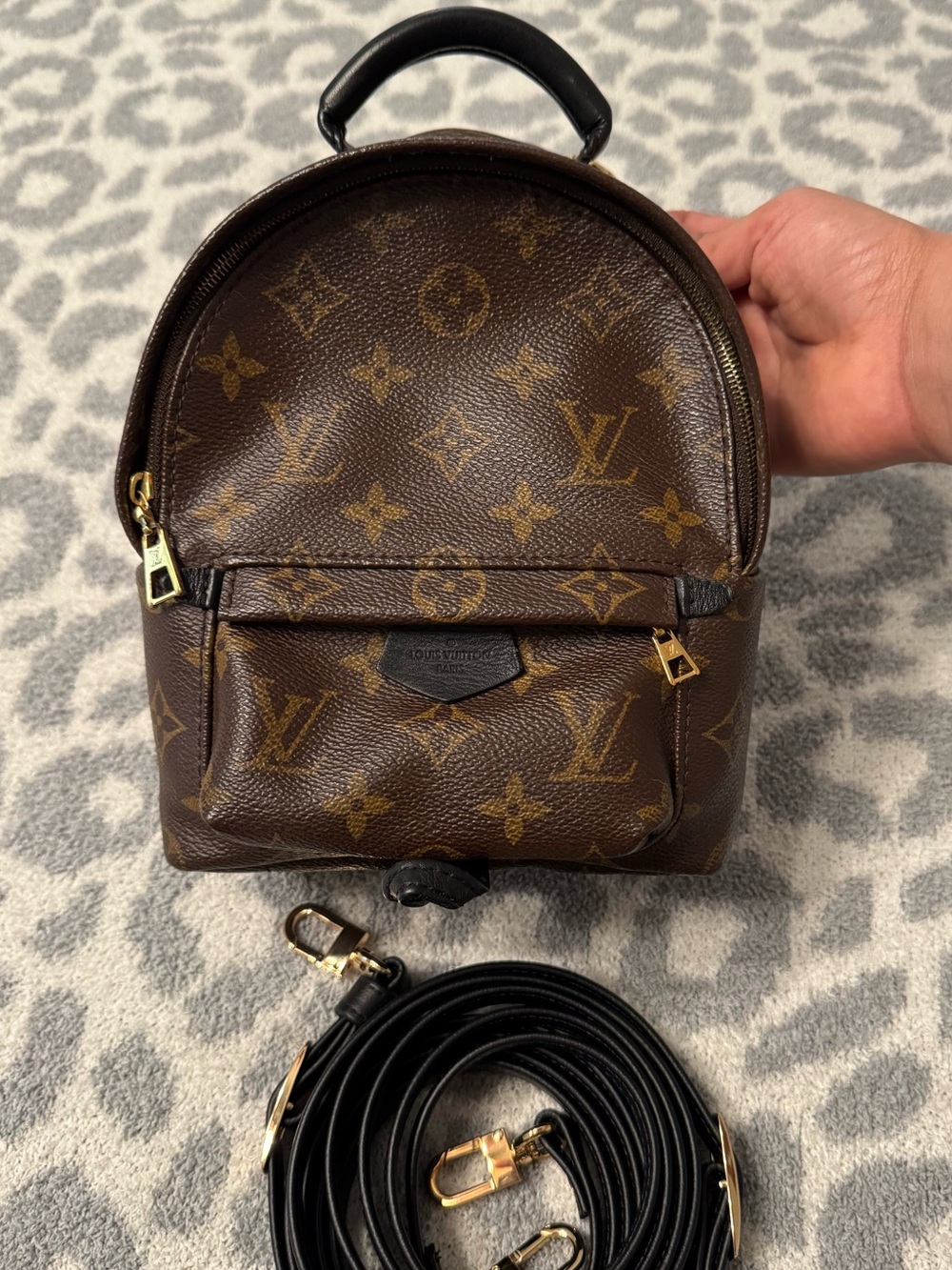 LOUIS VUITTON Palm Springs Mini Backpack Monogram Backpack in Brown & Black